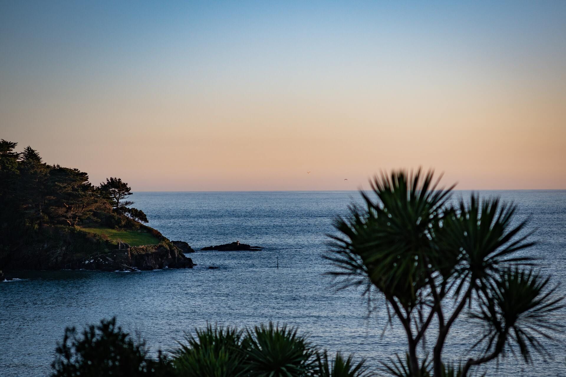 Calm ocean at sunset with silhouetted trees and a rocky shoreline