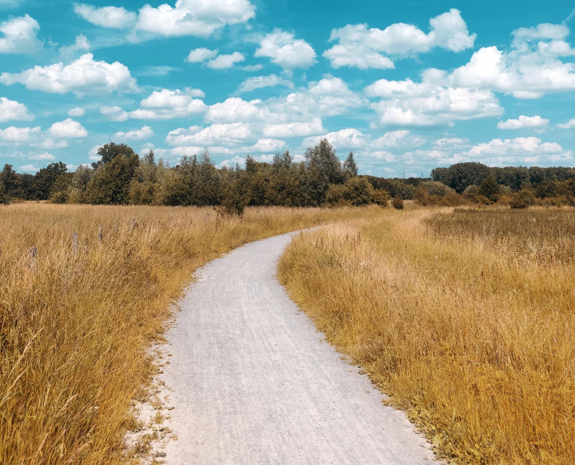 Winding white path through a dry golden meadow under a blue sky with scattered clouds