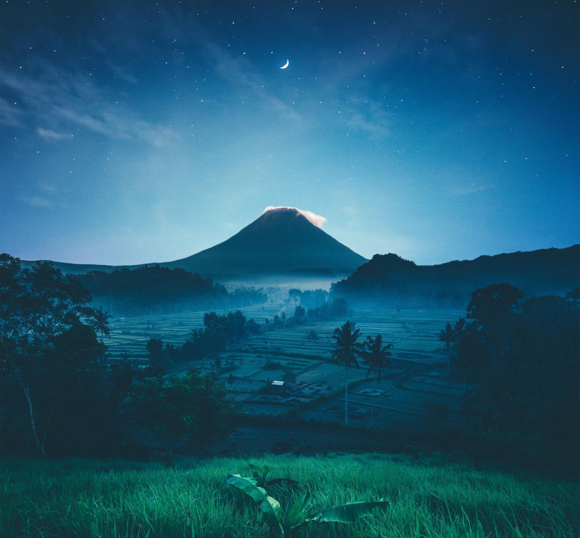 Moonlit volcanic mountain over a dark blue forested landscape under a starry sky