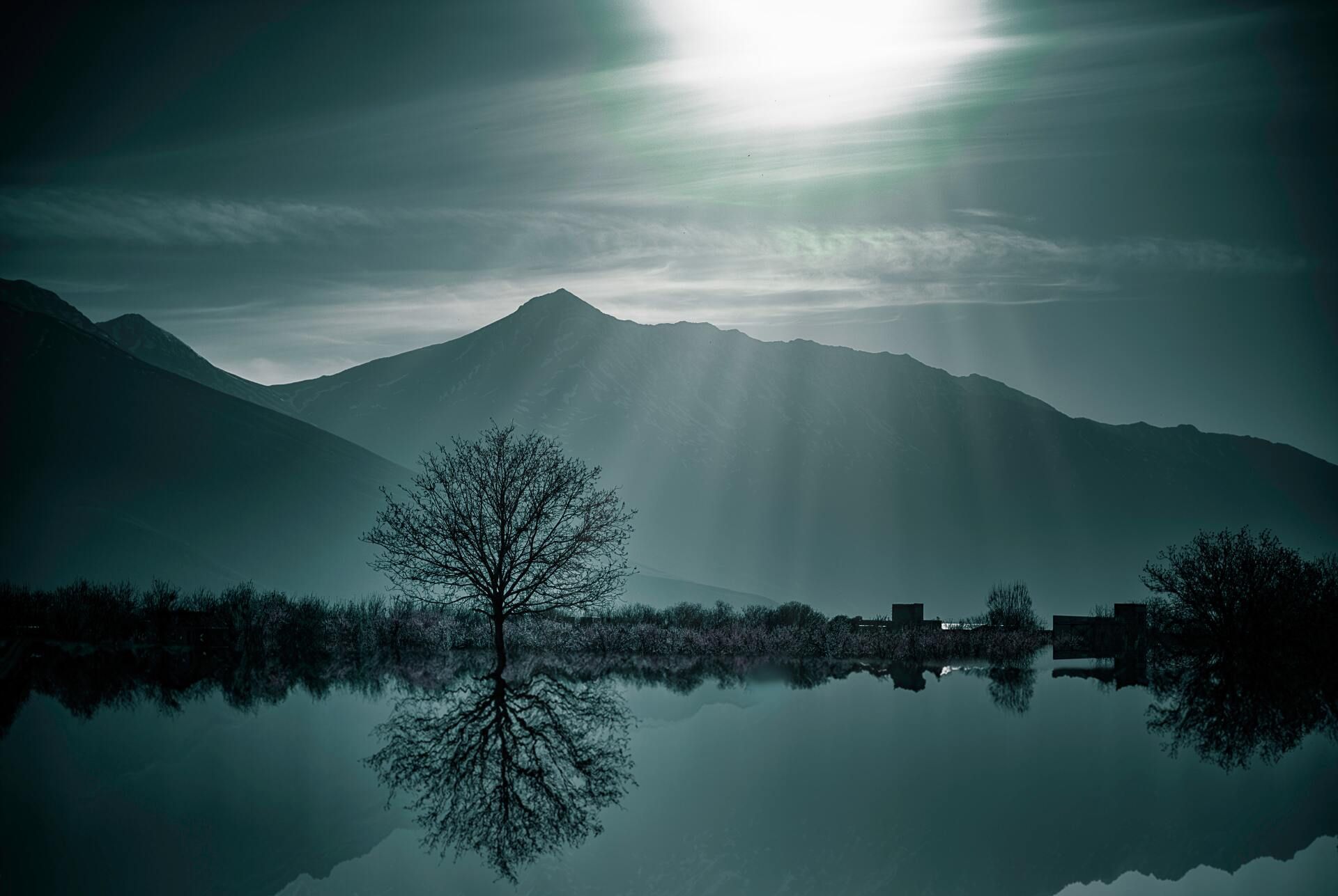 Sunlit mountain lake with a lone tree and its reflection in still water