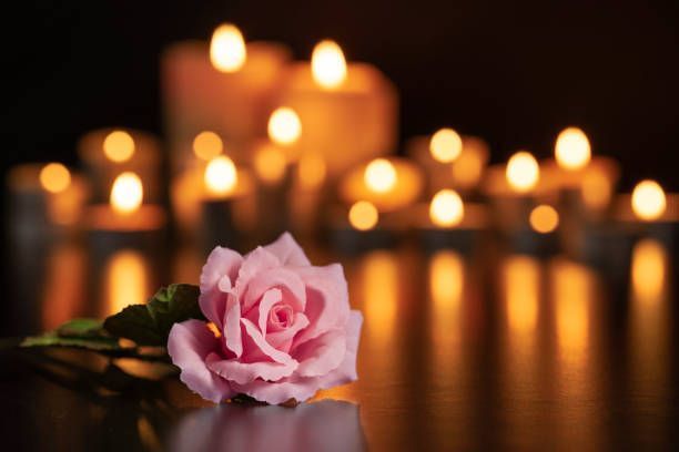 Pink rose on a reflective surface before glowing candles in a dark, warm background