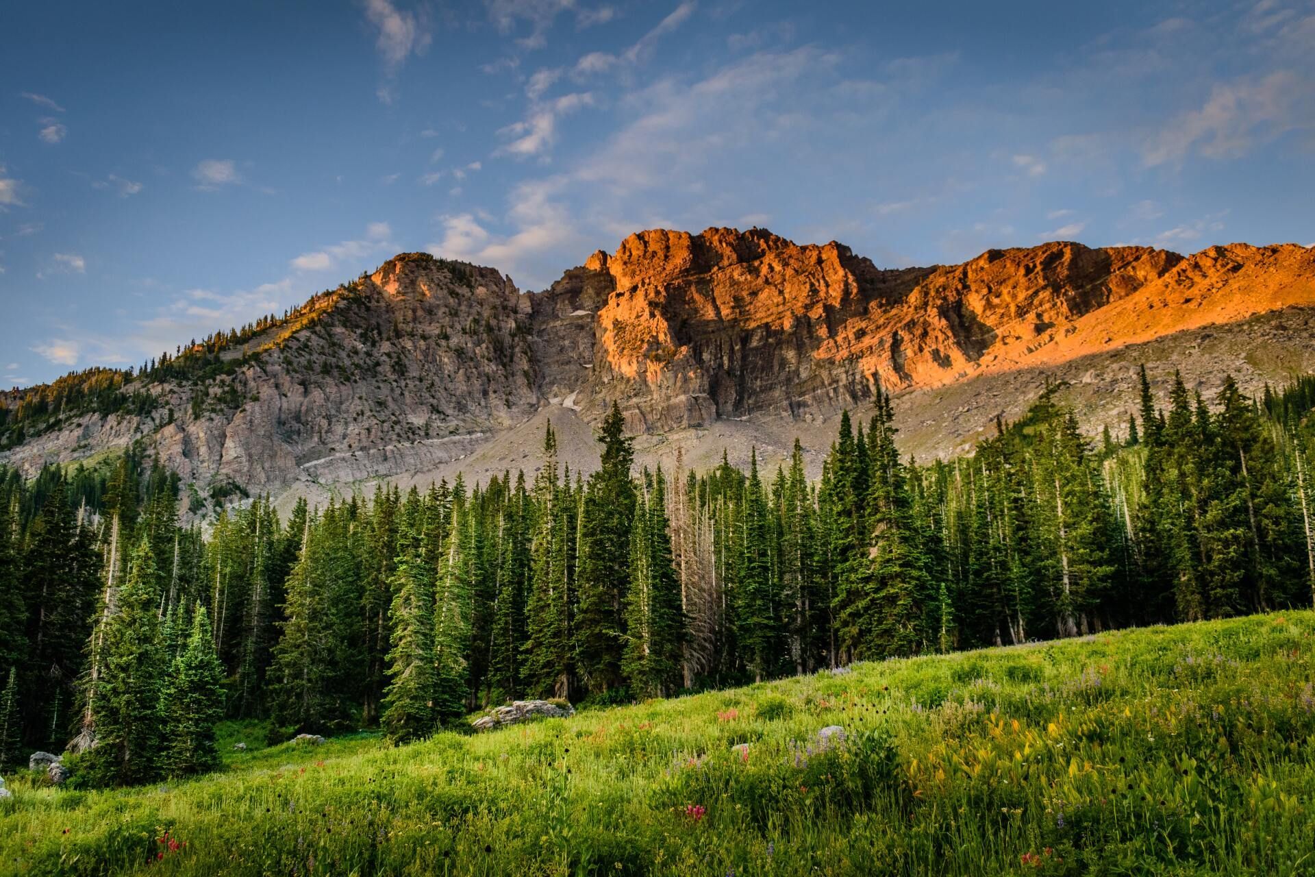 Sunlit mountain ridge above a dense green forest under a blue sky