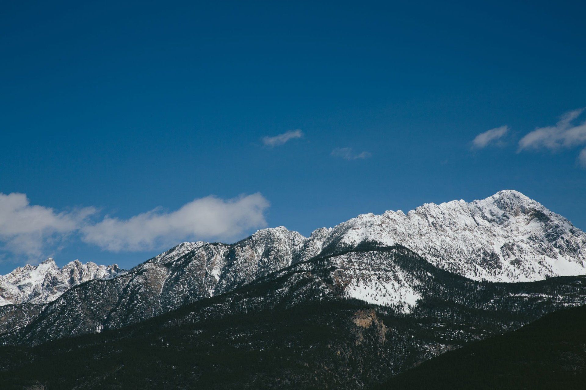 Snow-covered mountain range beneath a clear blue sky with dark forested slopes