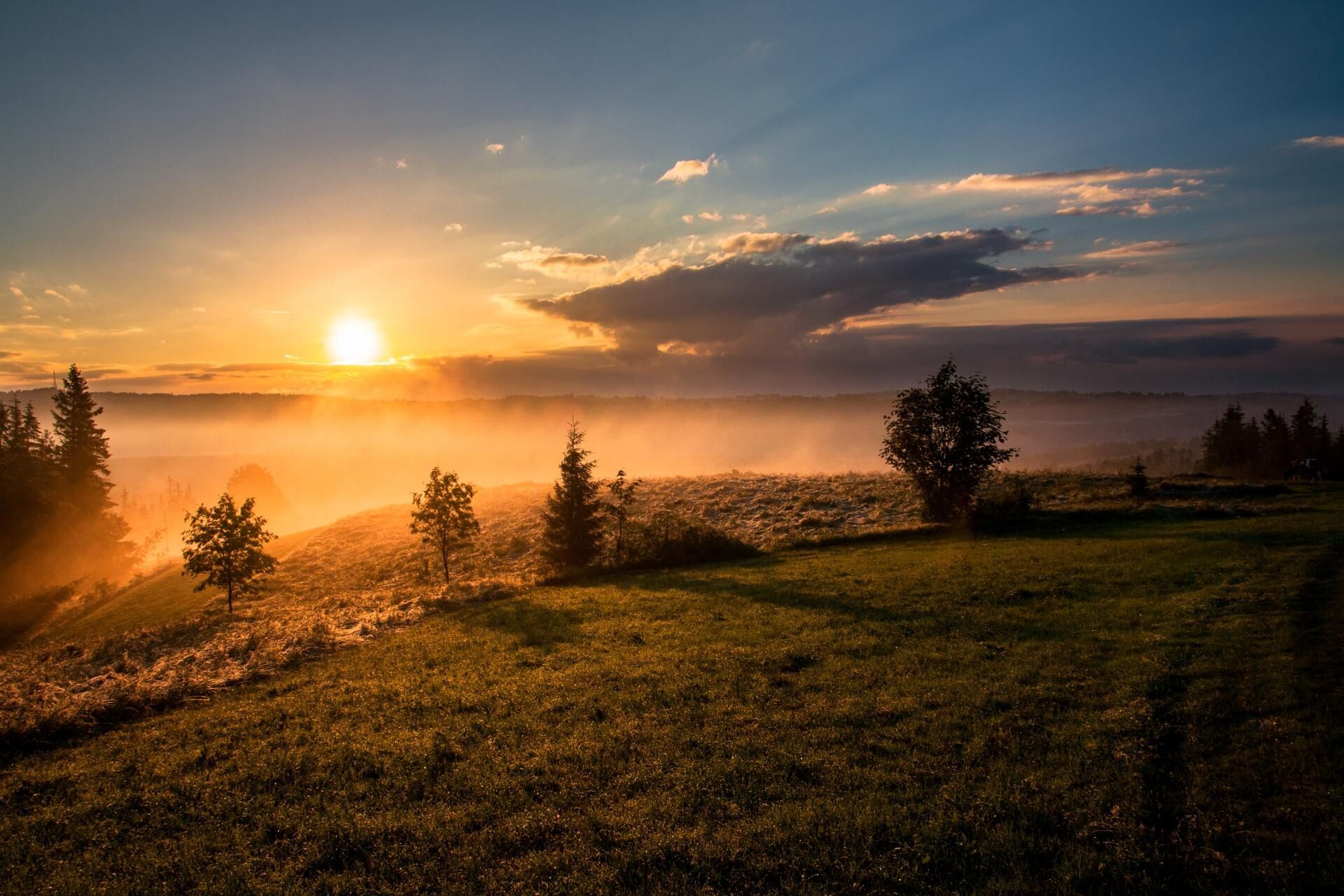 Sunrise over a misty field with silhouetted trees and golden light