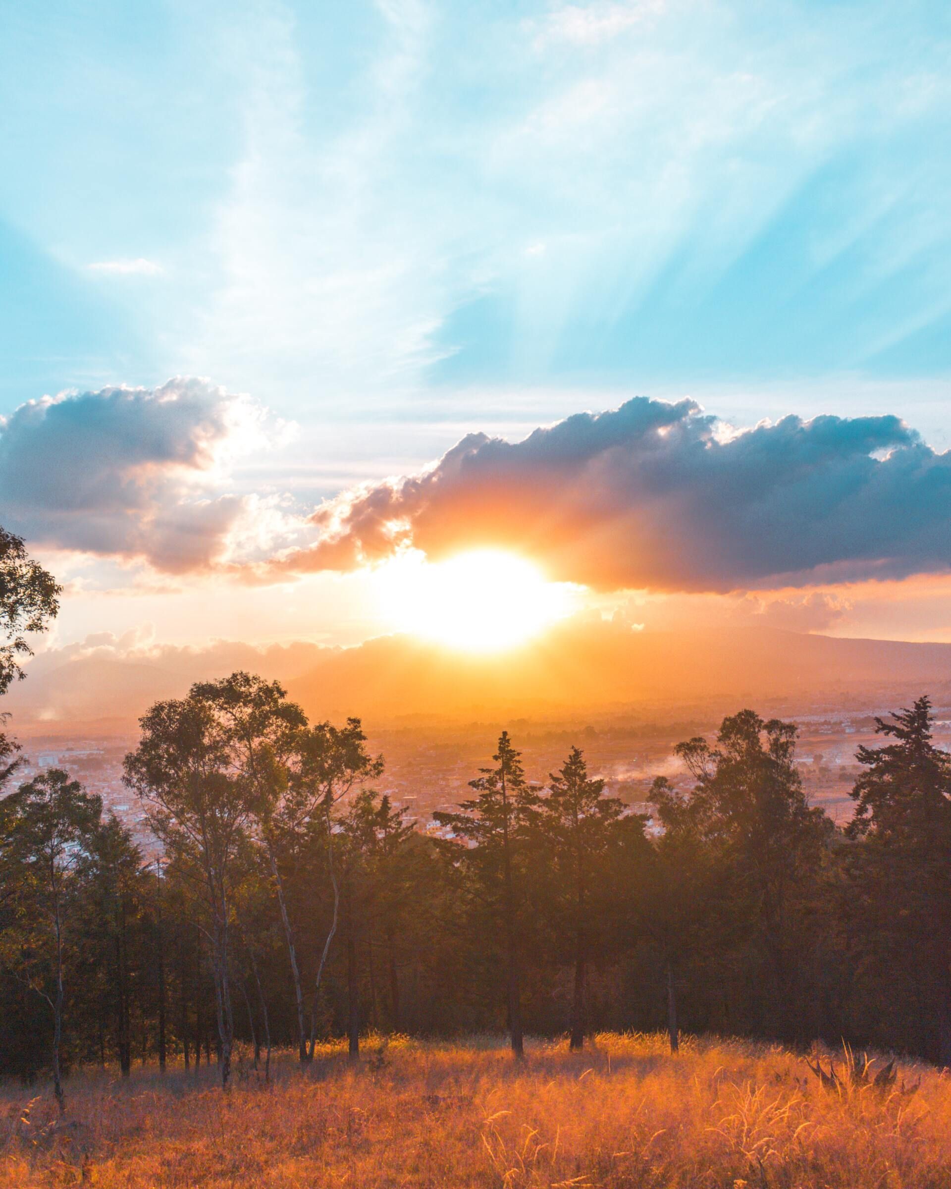 Sunrise over a grassy field with silhouetted trees and glowing clouds in a blue-orange sky