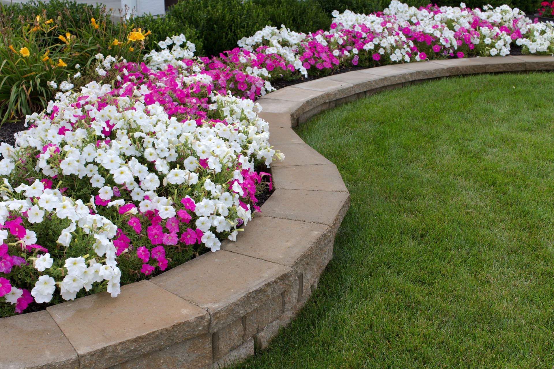 Various Services Hardscaping Companies Offer