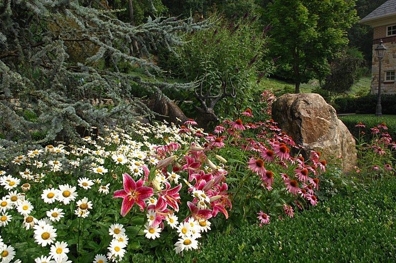 Landscape Design
