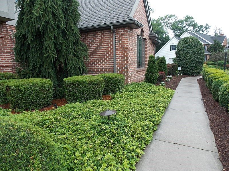 Landscaping