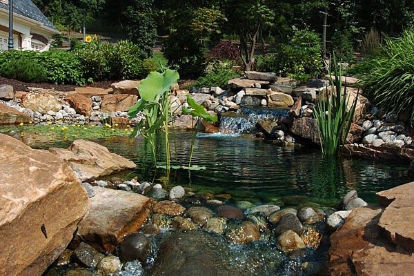 Water Features