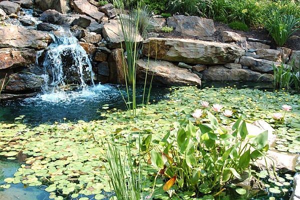 Water Features