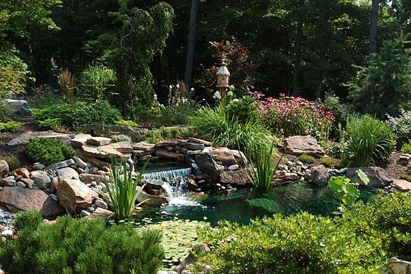 Water Features