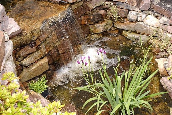 Water Features