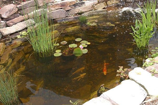 Water Features