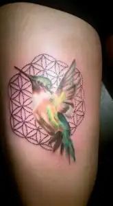 Colorful hummingbird tattoo with geometric pattern on skin