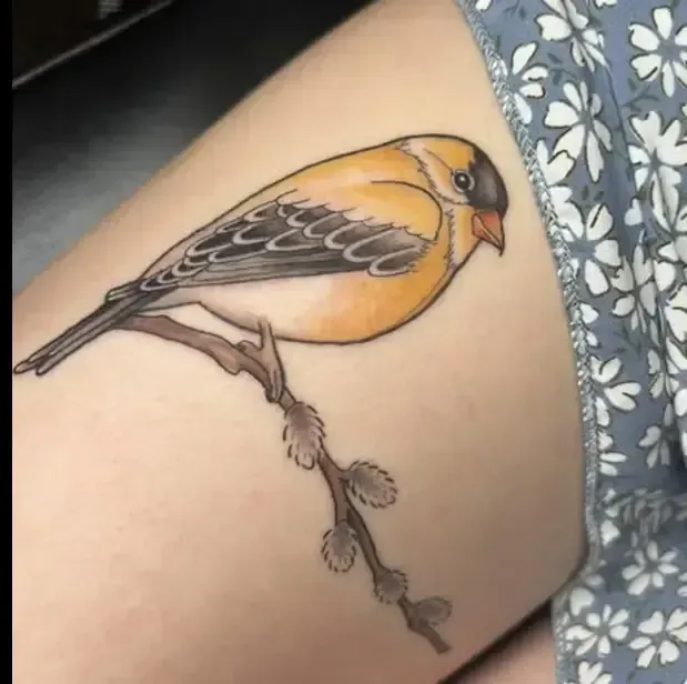 Colorful bird tattoo on a person's leg, perched on a thin branch with leaves.