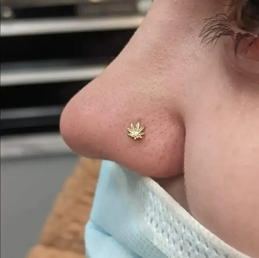 Close-up of a nose with a small gold stud piercing and a light blue face mask below it