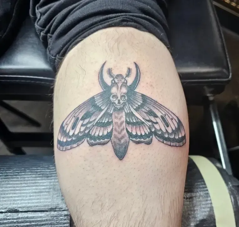 Moth tattoo on a person’s calf, with teal and pink wing details against skin.