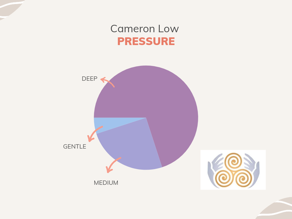 Pressure pie chart -  Cameron Low