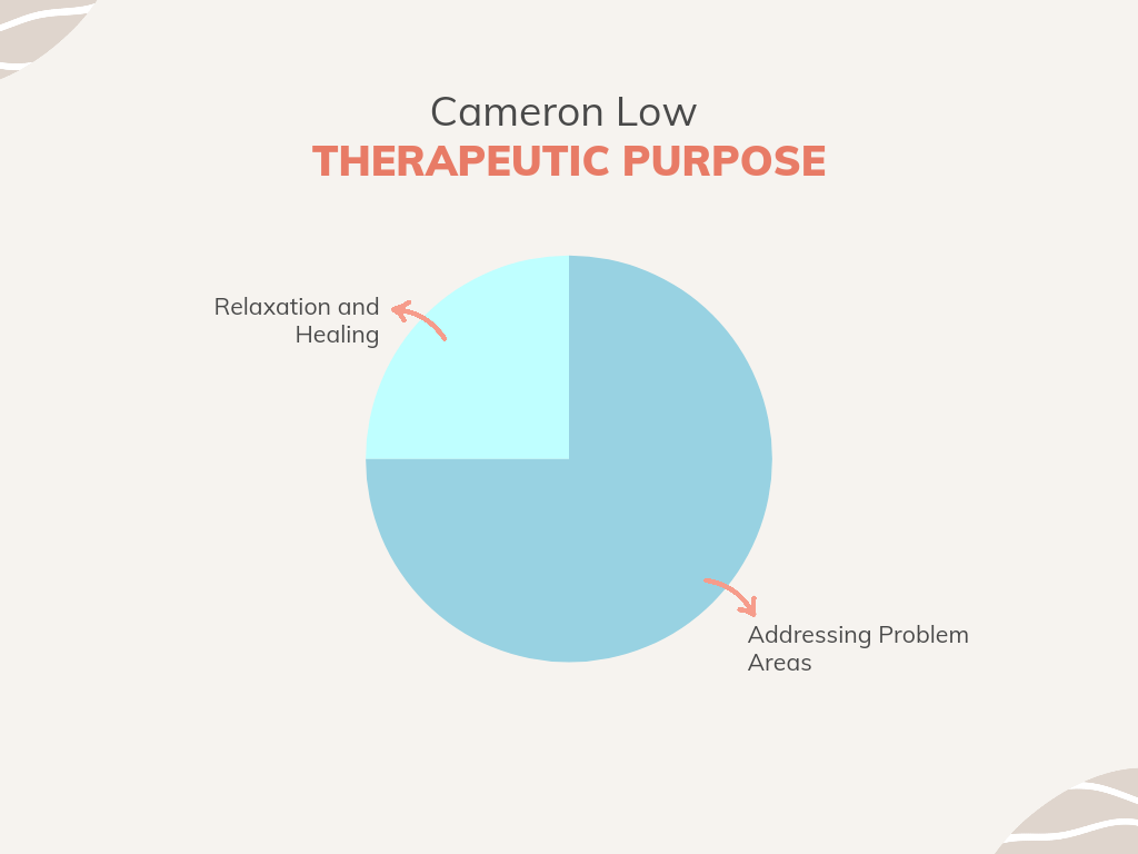 Therapeutic purpose pie chart -  Cameron Low