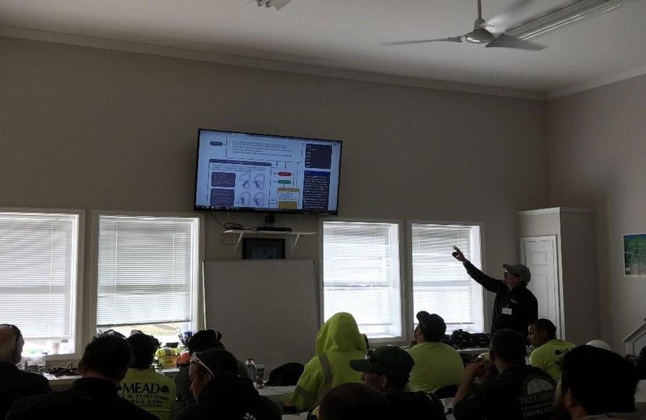 tree climbing symposium