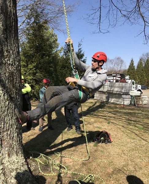 tree climbing symposium