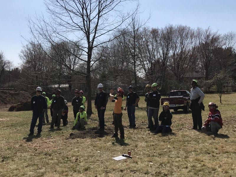 tree climbing symposium