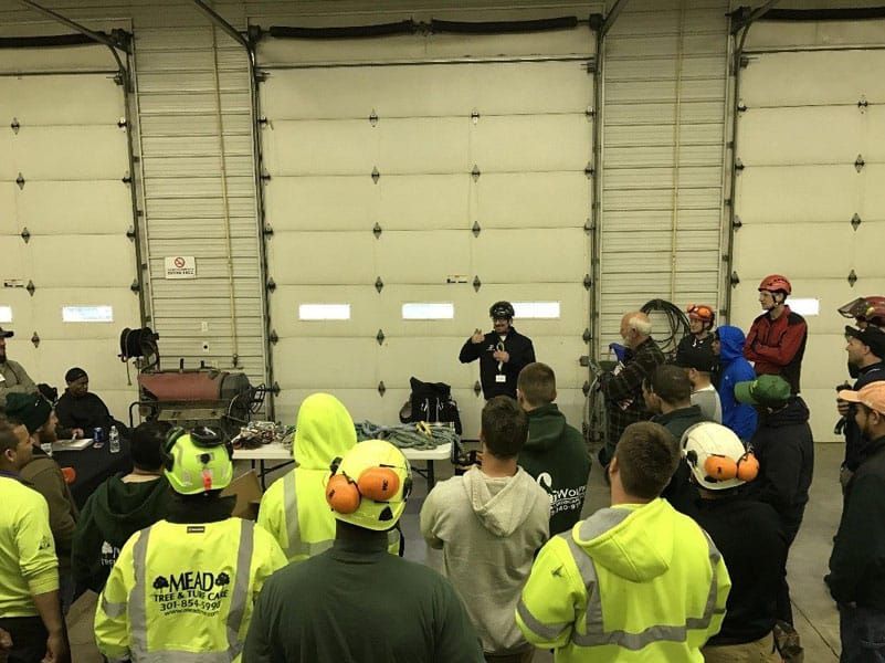 tree climbing symposium