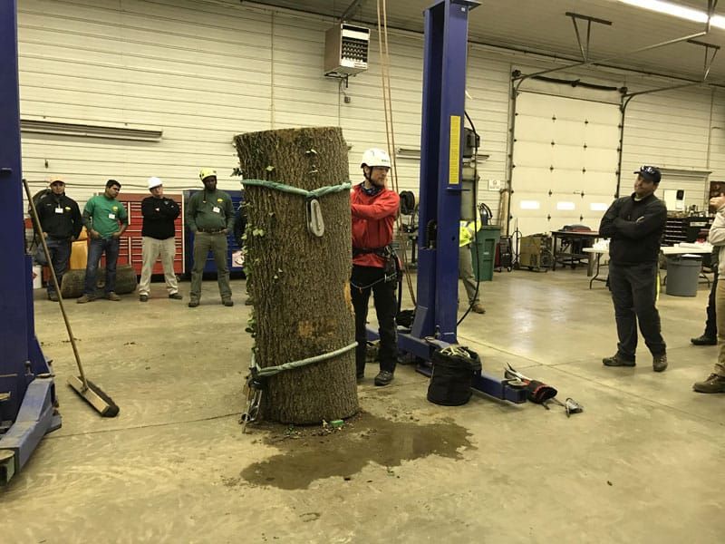 tree climbing symposium