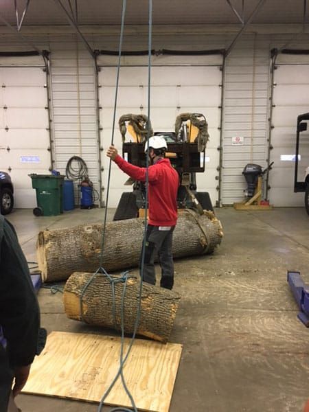 tree climbing symposium