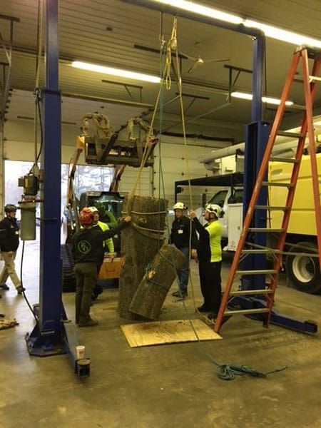 tree climbing symposium