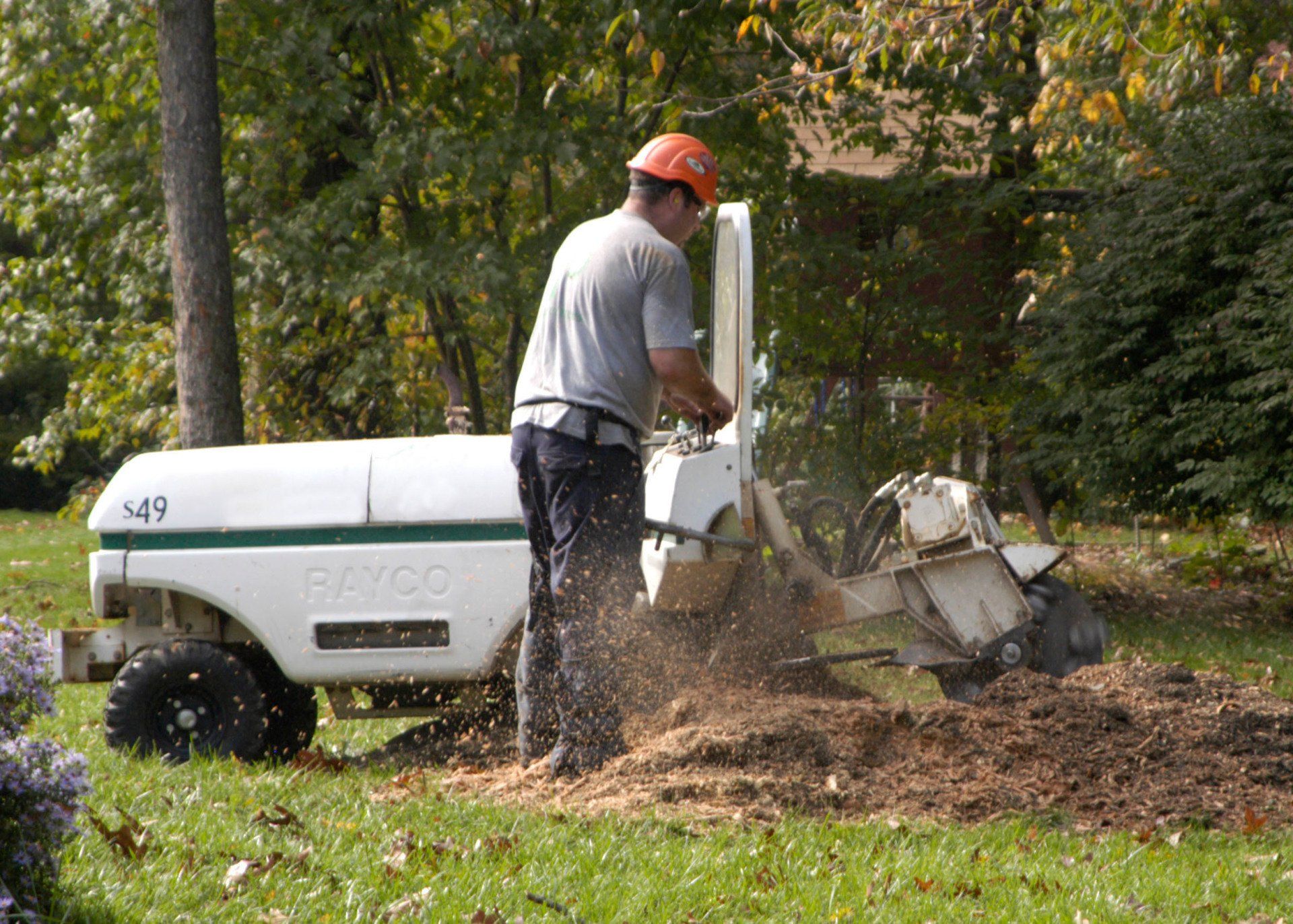 Stump grinding