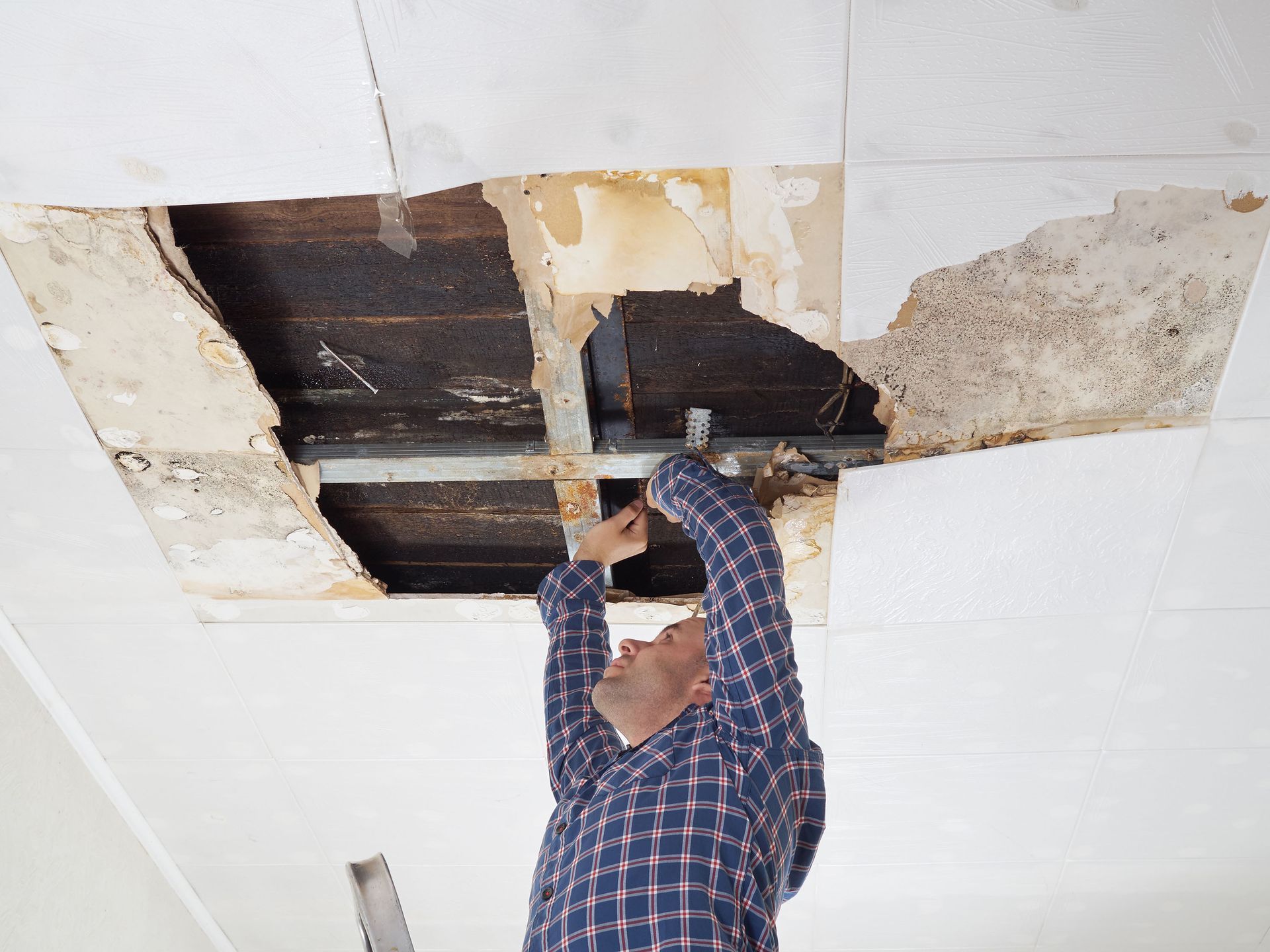 water damage restoration