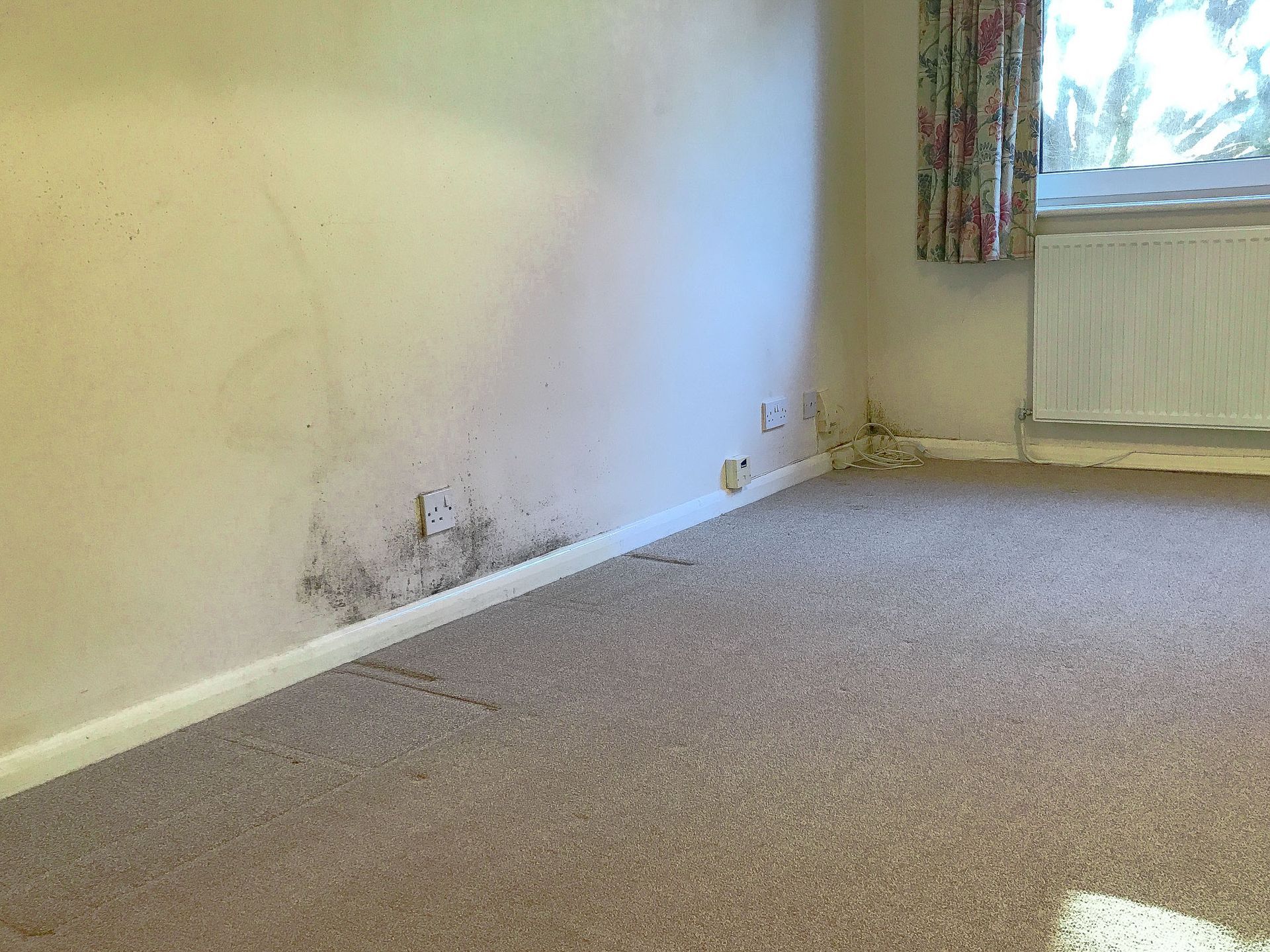 water damage companies