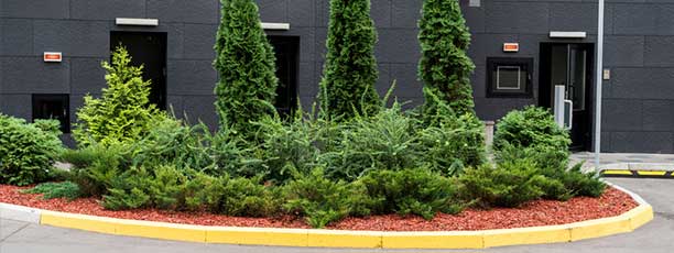 Mulch refreshing