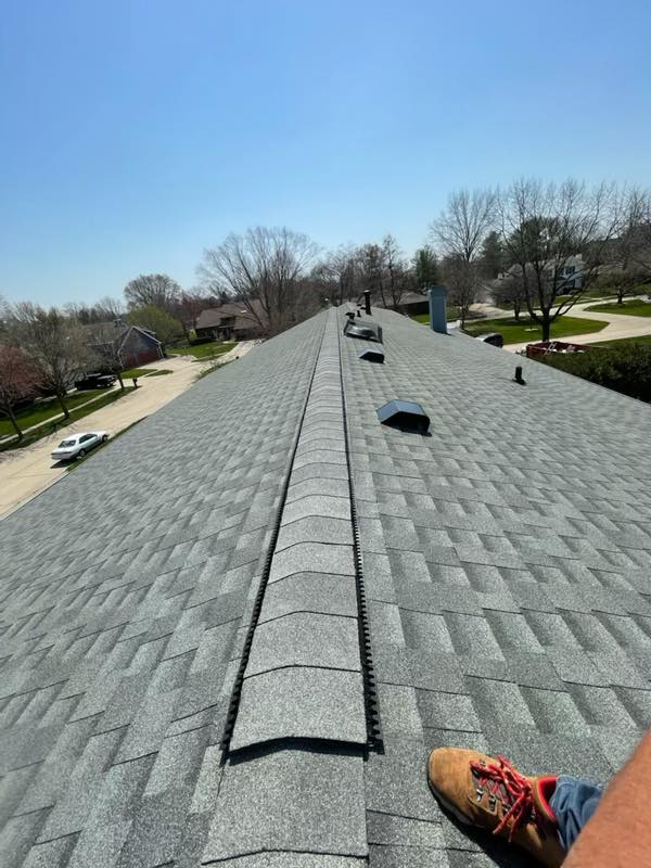 shingle roof