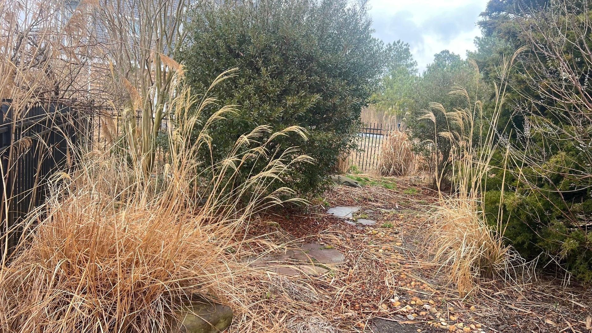 a dirt road surrounded by tall grass and trees on a sunny day .