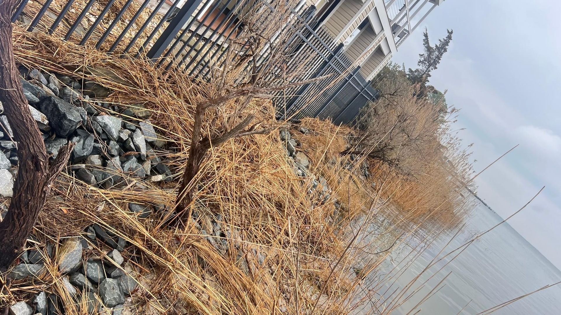 a fence is surrounded by a pile of rocks and branches .