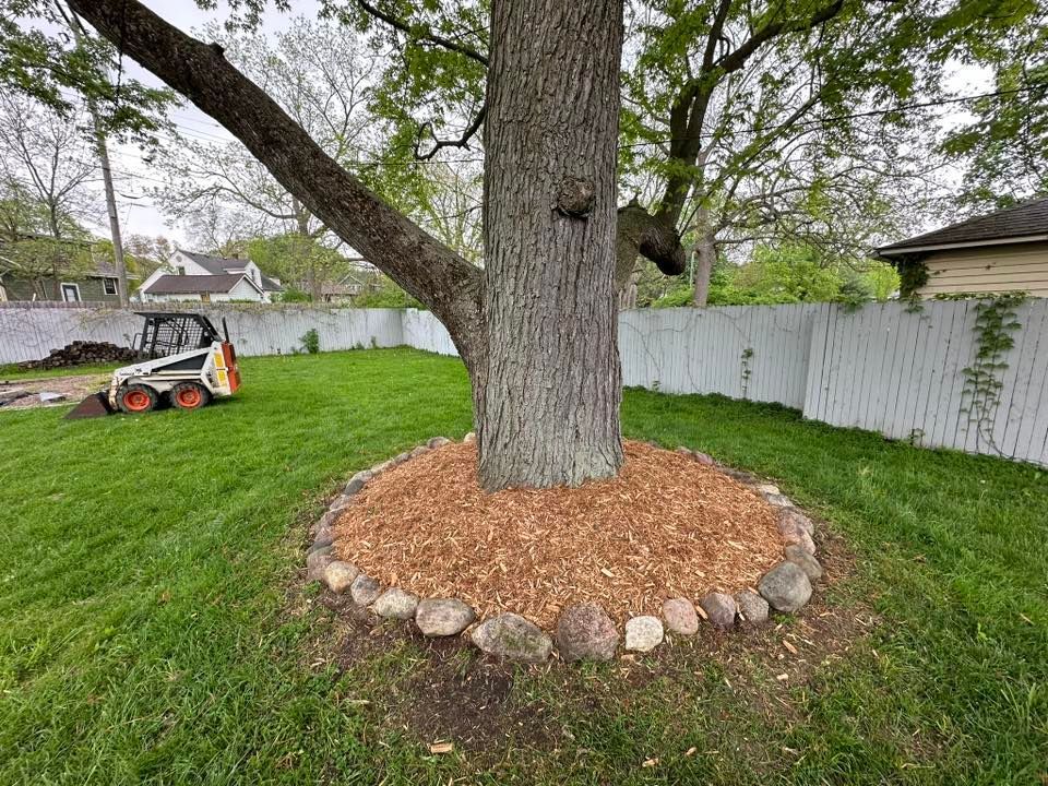 Backyard tree with a circular stone mulch ring and a lawn mower nearby along a white fence