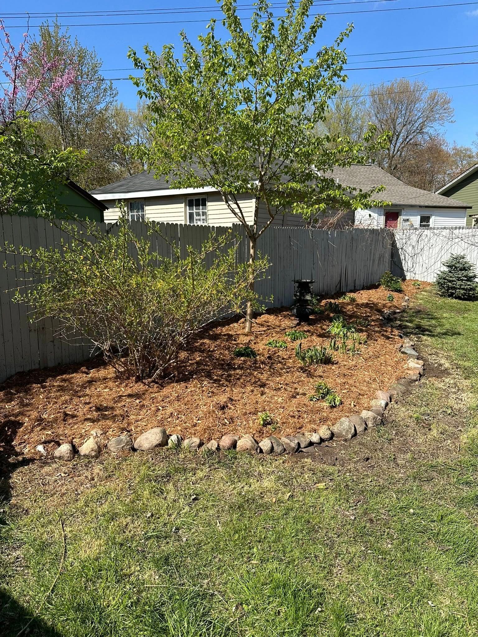 Landscaped backyard with a young tree, mulch bed, shrubs, and a wooden fence under a clear blue sky