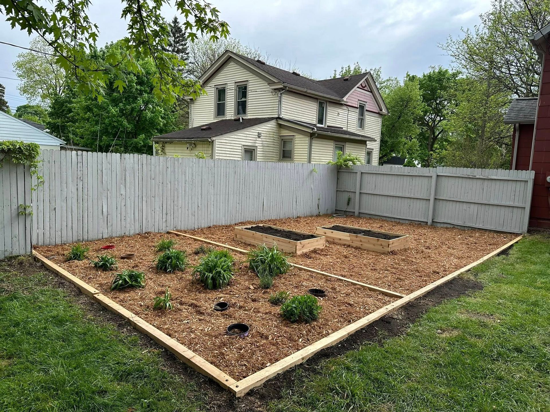 Freshly mulched garden bed with small shrubs in a fenced backyard, viewed from above