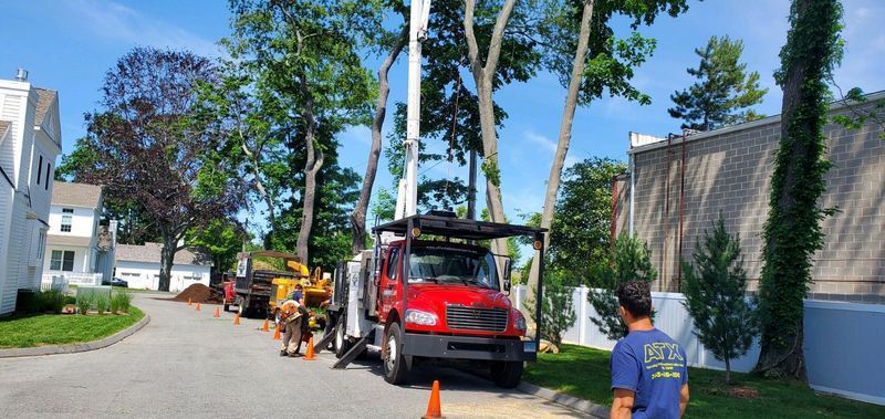 Tree removal crew operating a truck with a lift on a residential street.