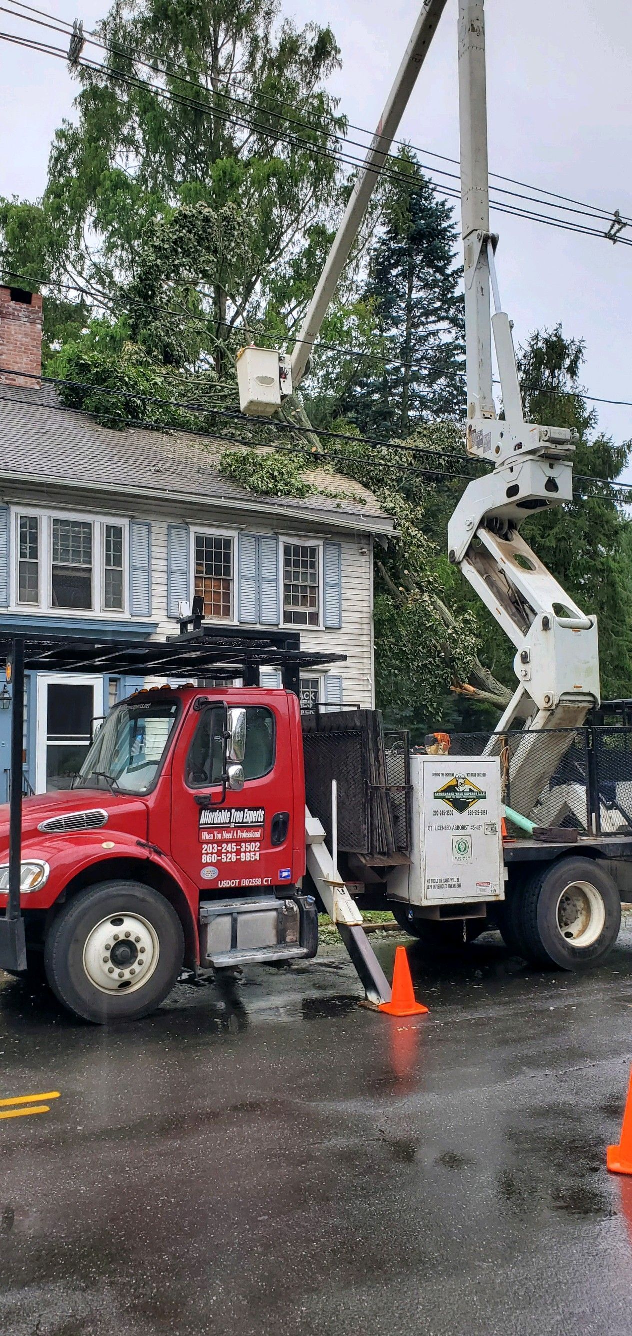 A red tree service truck with a crane trimming branches near a house. Orange traffic cones on the wet street.