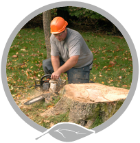 Worker cutting stump