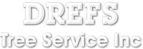 Drefs Tree Service Inc Logo
