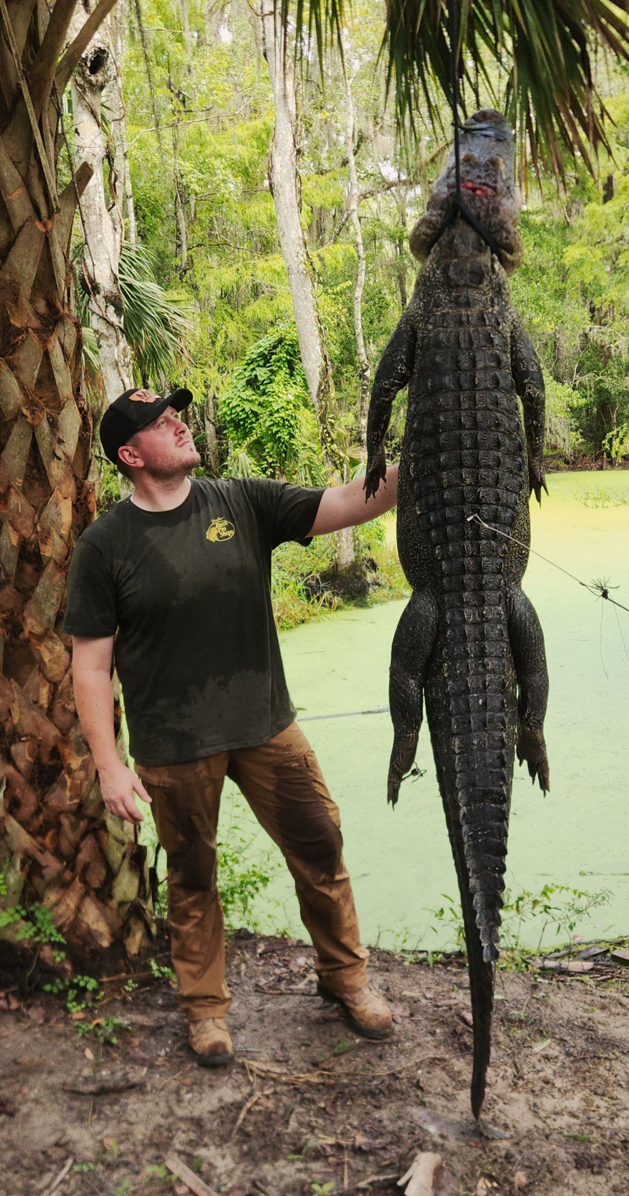 Man holding up a large crocodile beside a green swamp in a wooded area