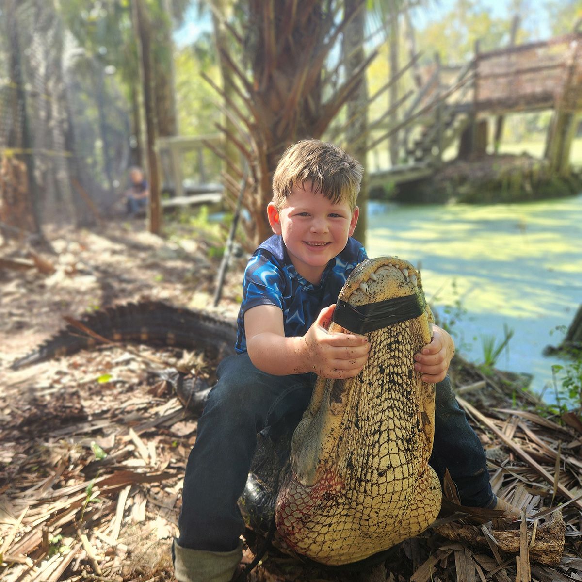 Smiling child in blue shirt holding a large crocodile in a sunny outdoor wildlife setting