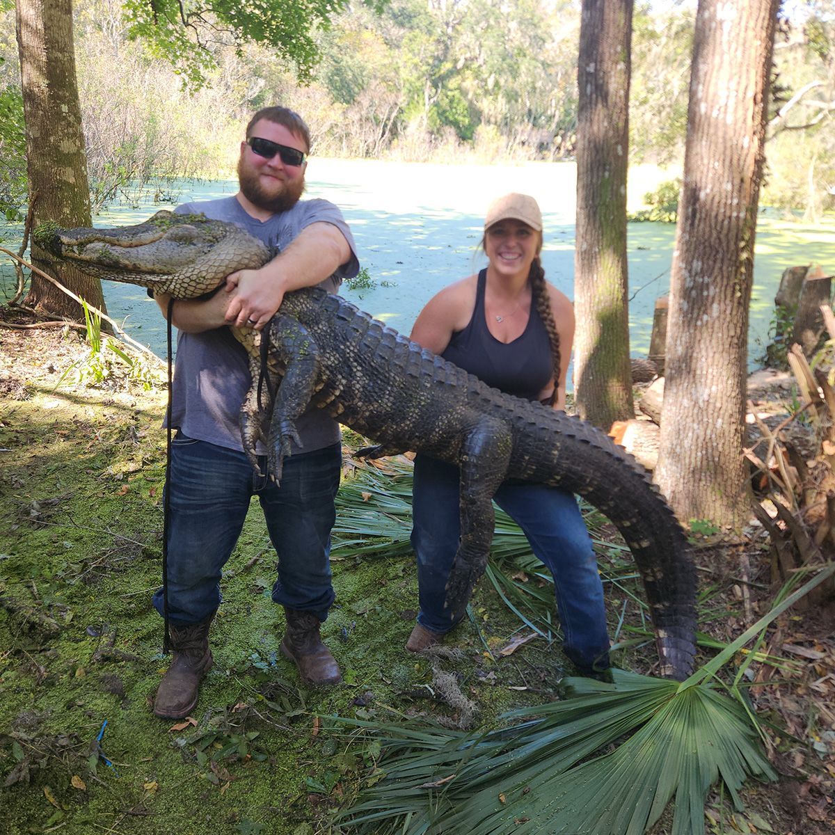 Two people posing with a large alligator beside a river in a wooded area