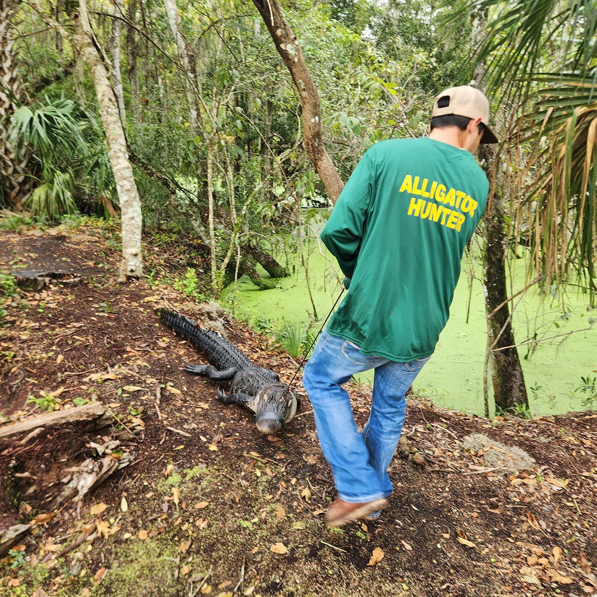 Person in green shirt and cap stands near an alligator in a muddy forest path by water.