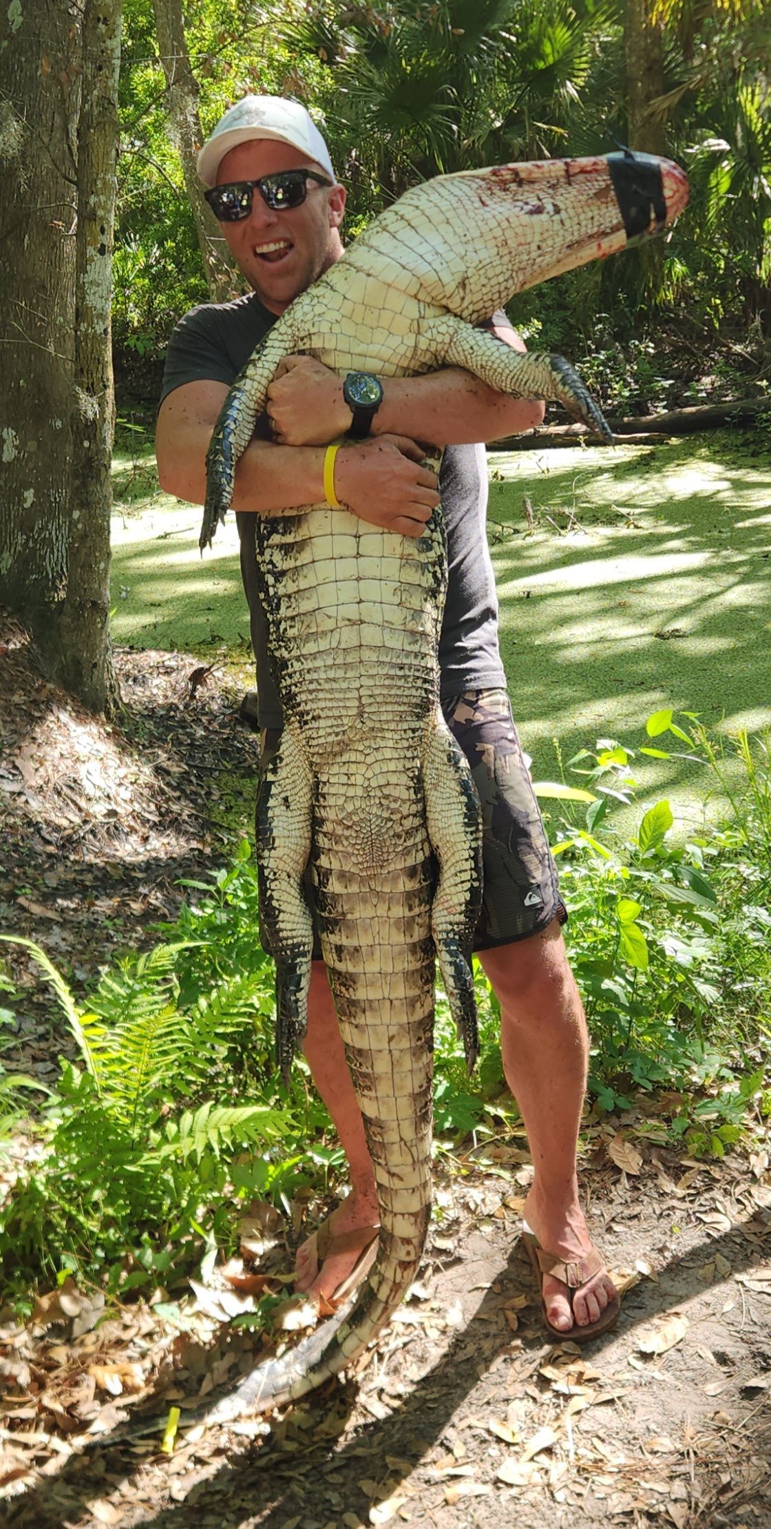 Person holding a large crocodile in a sunny outdoor setting, standing on a dirt path near trees and grass