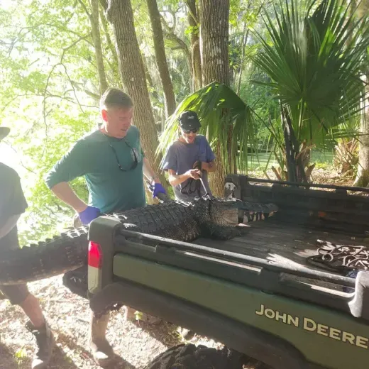 People loading cut wood into a John Deere trailer in a wooded outdoor area